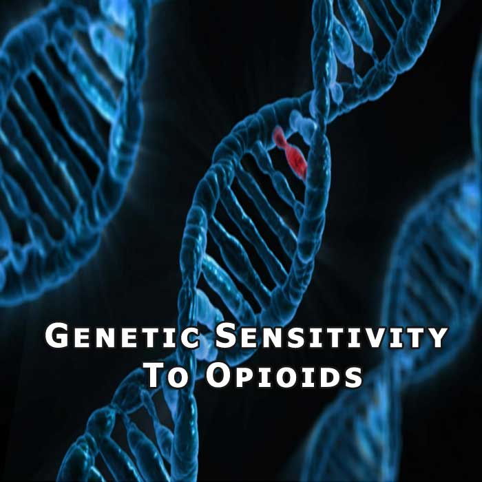 Featured image for “Genetic Basis for Opioid Sensitivity in Pain Treatments”